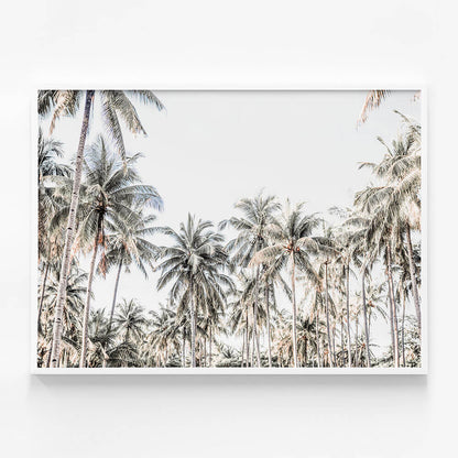 Deep Tropics