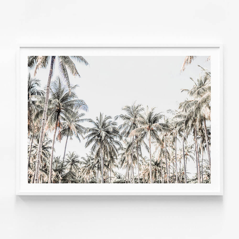 Deep Tropics