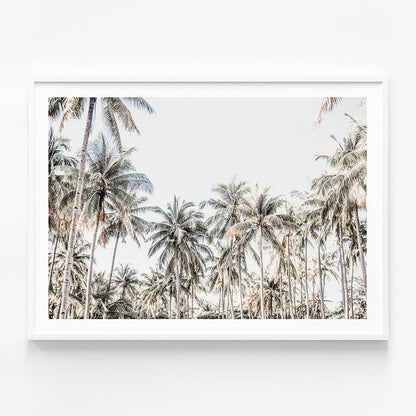 Deep Tropics