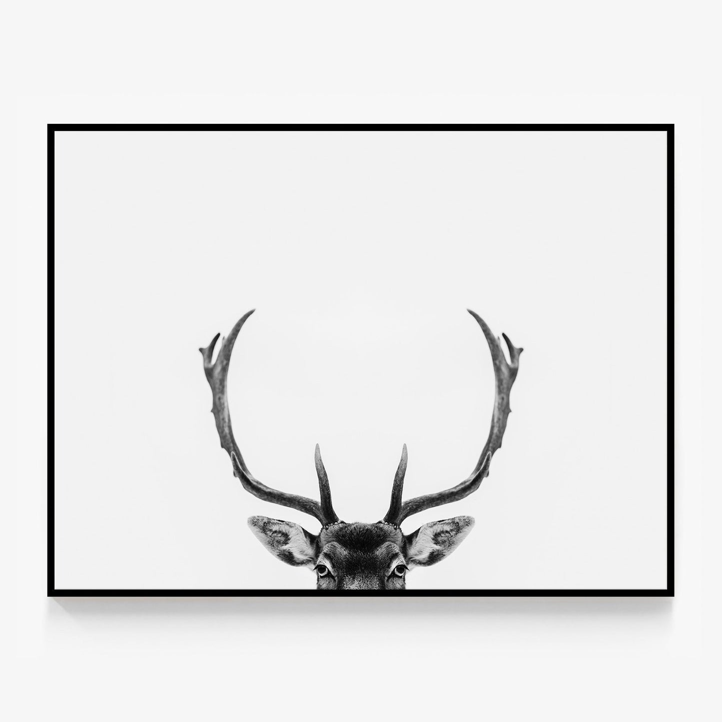 Deer Antlers Canvas