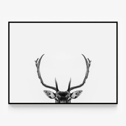 Deer Antlers Canvas