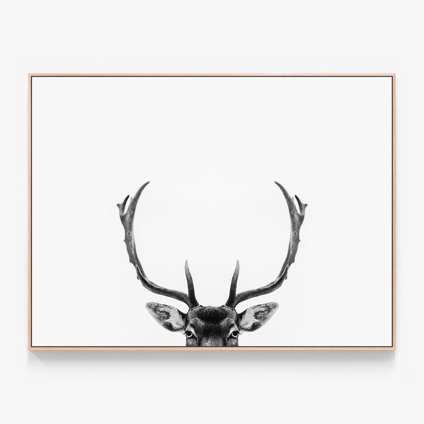 Deer Antlers Canvas wall art with oak float frame
