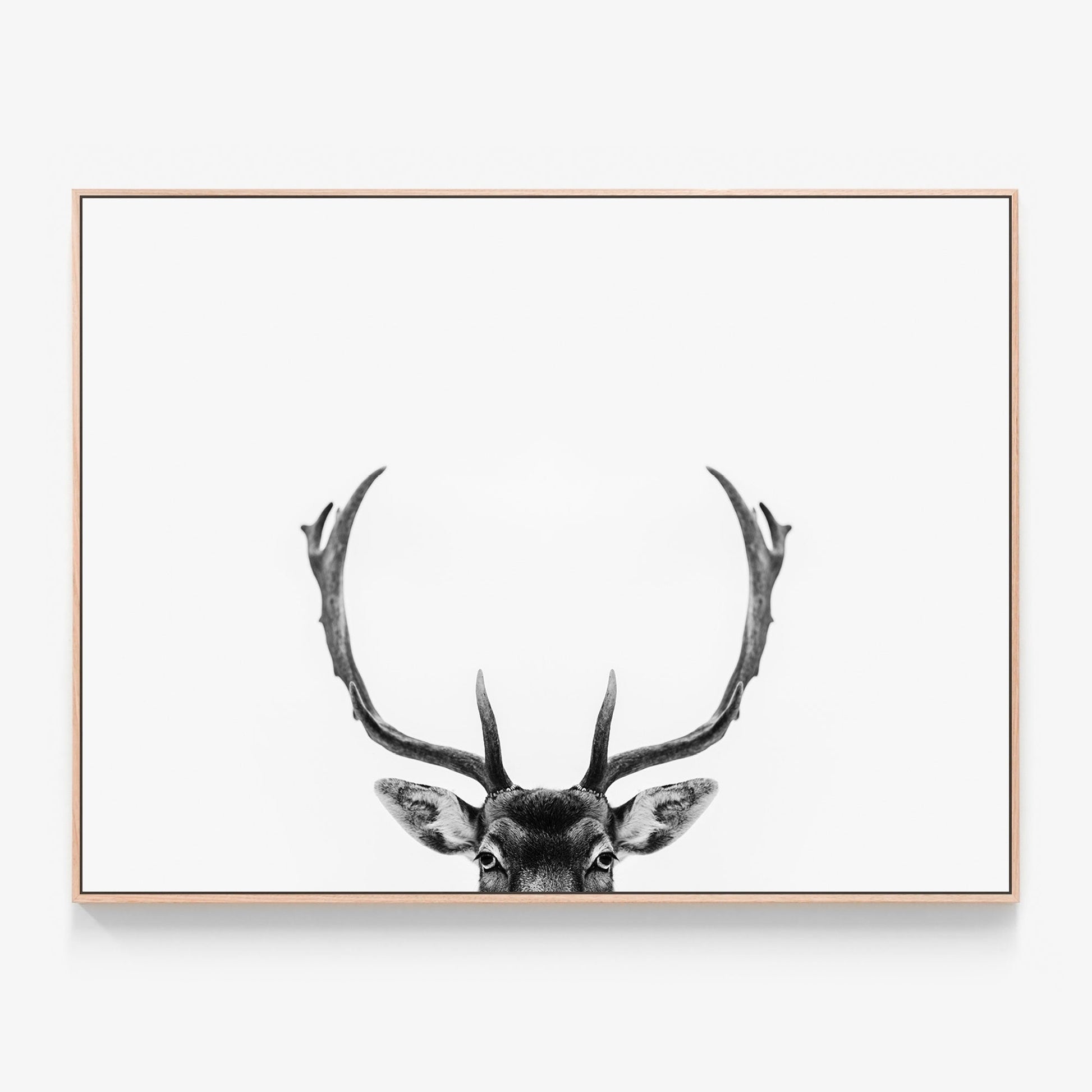 Deer Antlers Canvas wall art with oak float frame