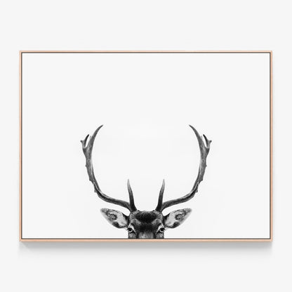 Deer Antlers Canvas wall art with oak float frame
