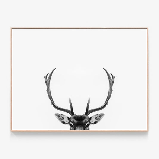 Deer Antlers Canvas wall art with oak float frame