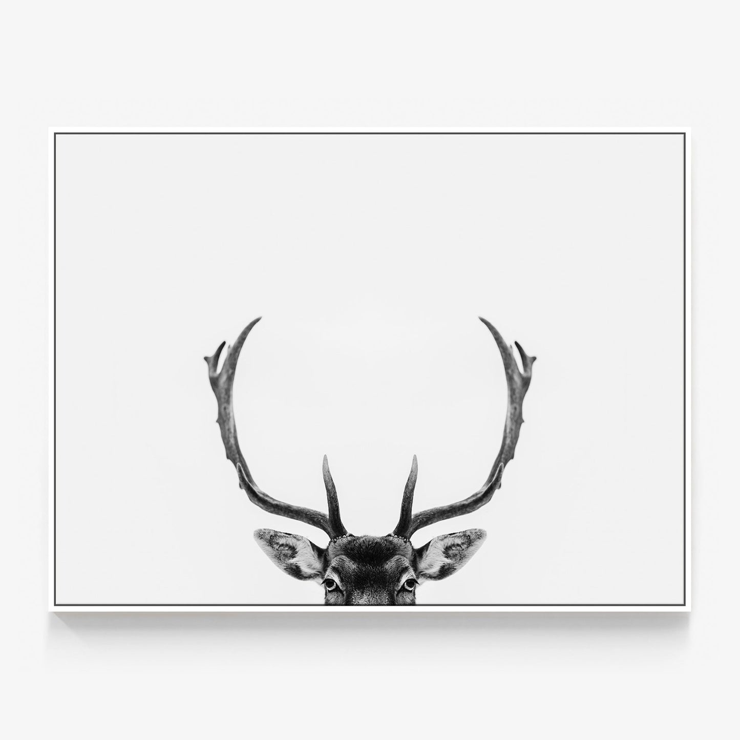 Deer Antlers Canvas