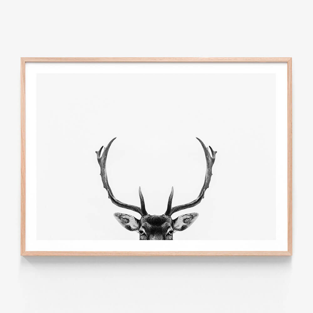 A black and white framed print of deer antlers against a white background.