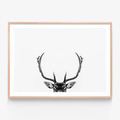 A black and white framed print of deer antlers against a white background.