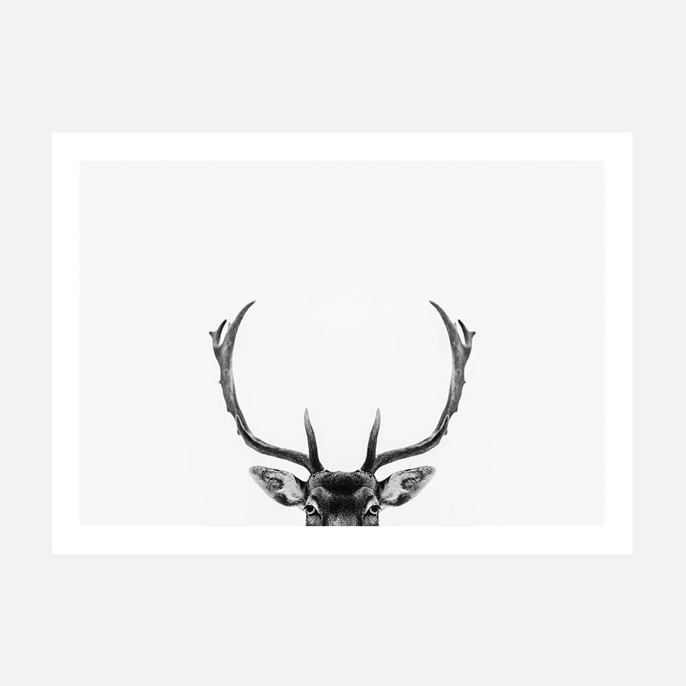 A black and white poster print of deer antlers against a white background.