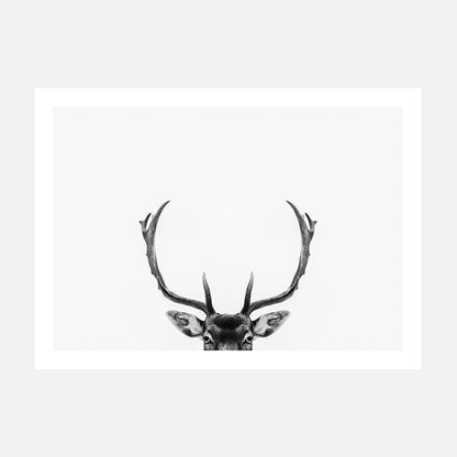 A black and white poster print of deer antlers against a white background.