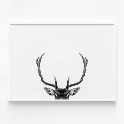 Deer Antlers