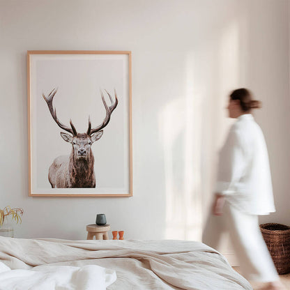 Deer-Photography-Framed-Print.jpg