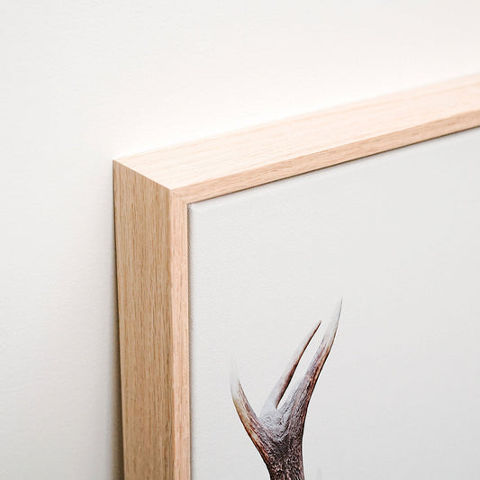 Deer Portrait Canvas corner detail