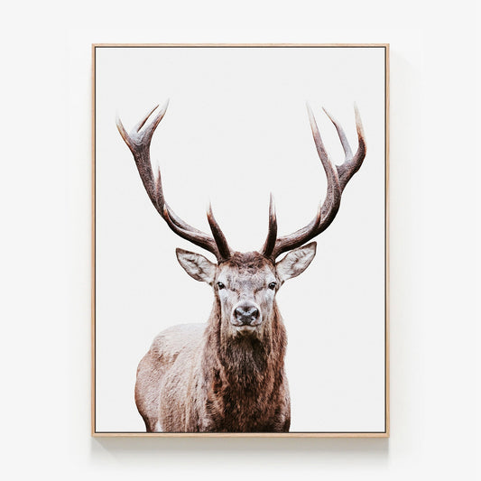 Deer Portrait Canvas wall art with oak float frame