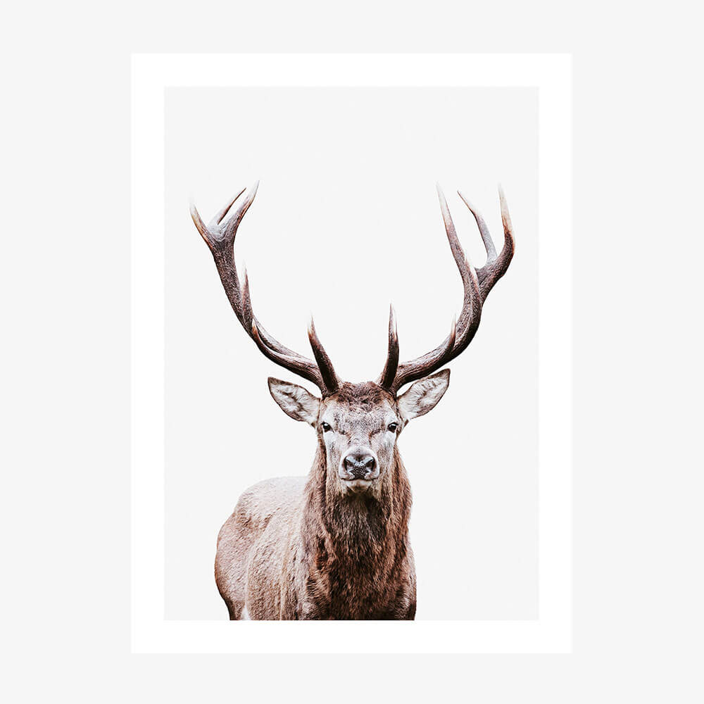 An art print poster portrait of a deer with a prominent rack of antlers.