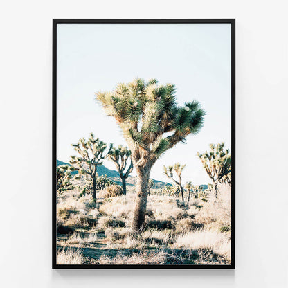 Desert Center
