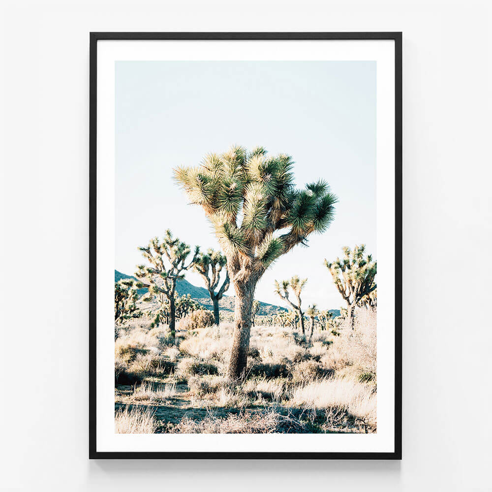 Desert Center