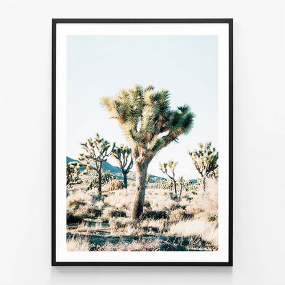 Desert Center