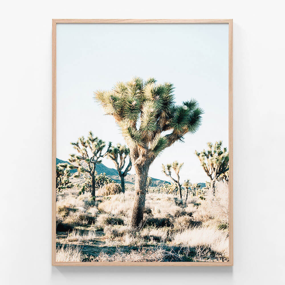 Desert Center