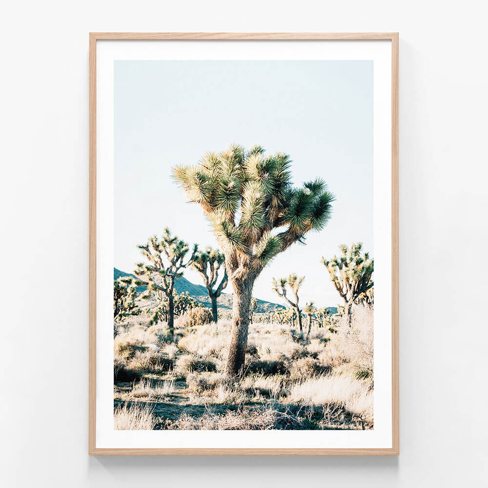 Desert Center