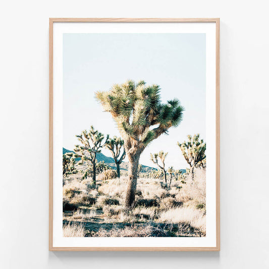 Desert Center