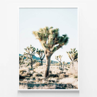 Desert Center