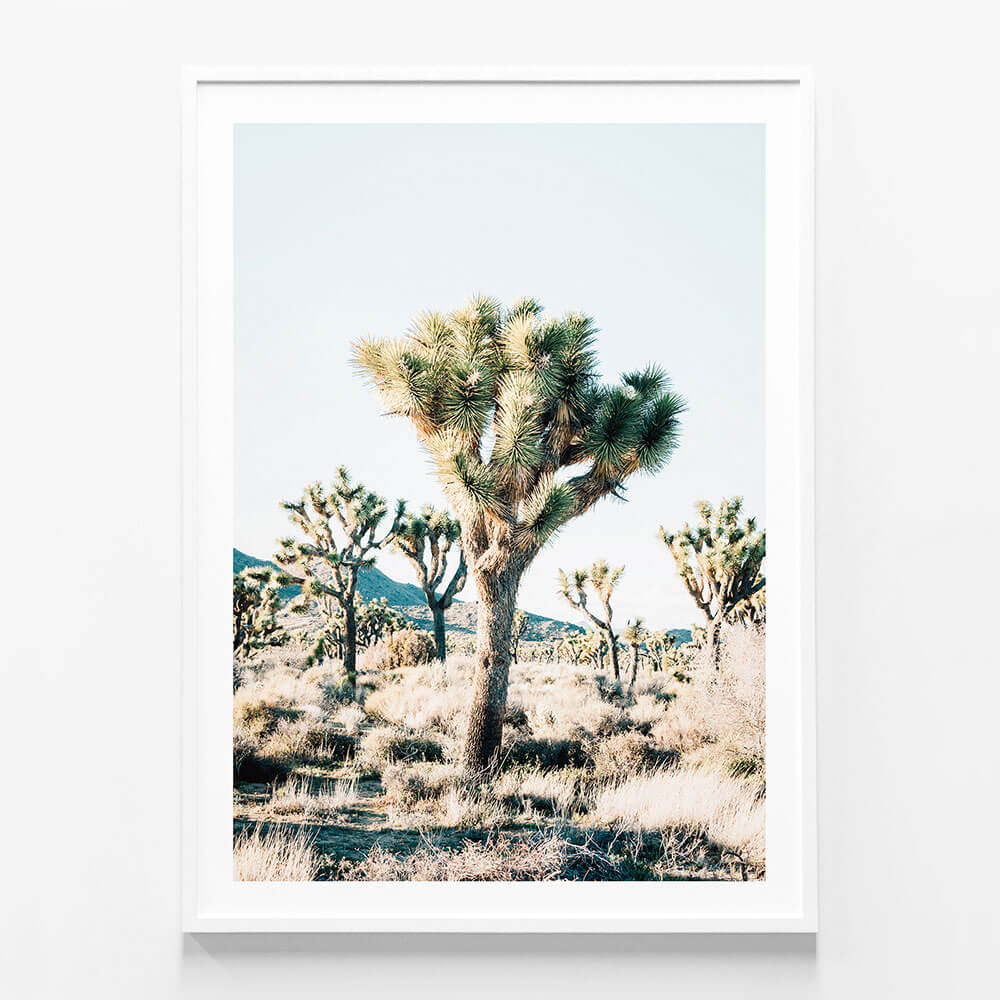 Desert Center