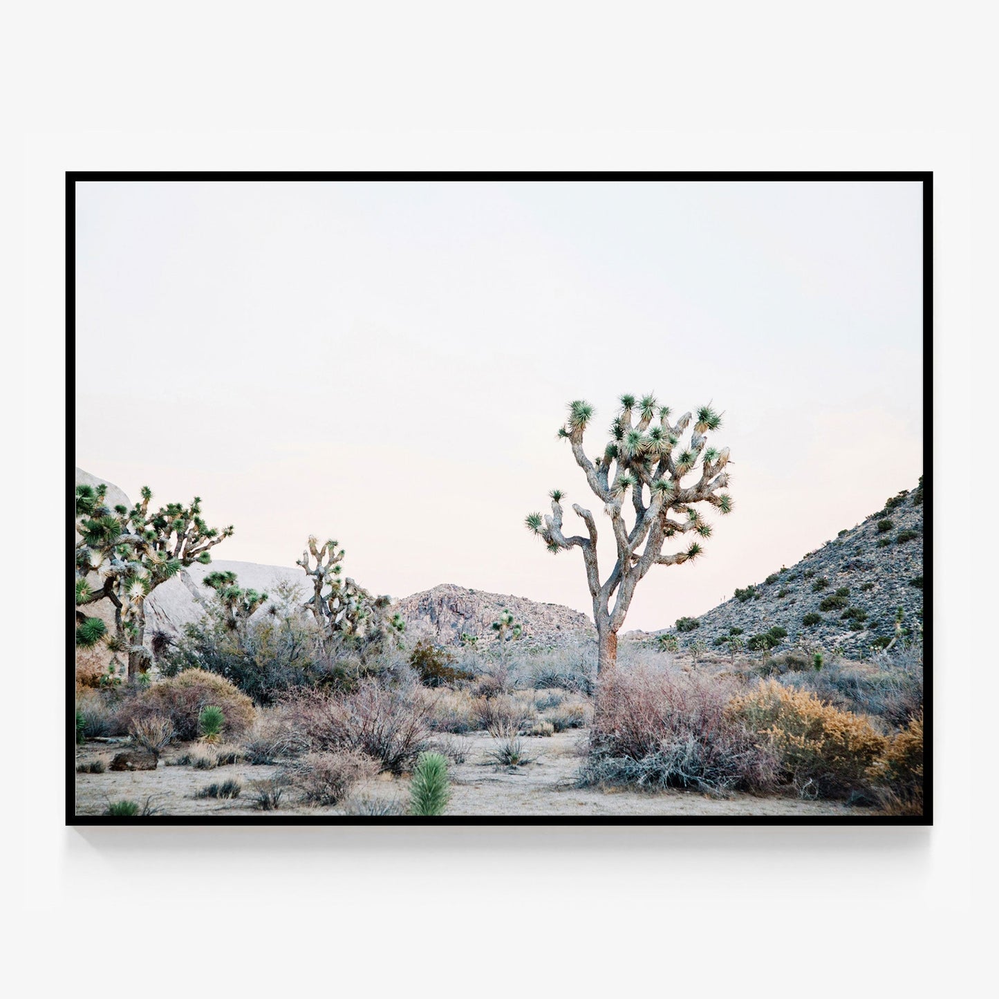 Desert Evening Canvas