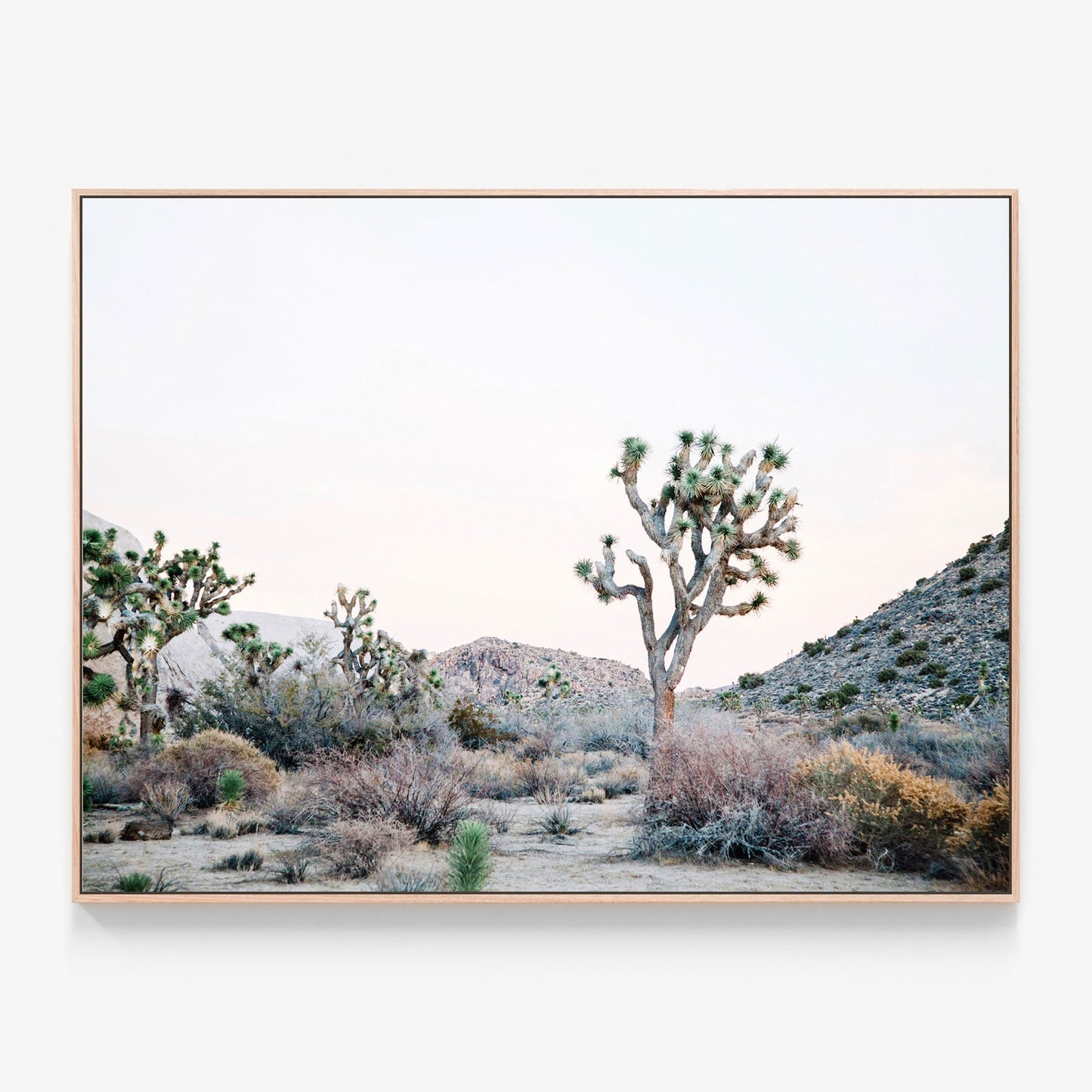Desert Evening Canvas wall art with oak float frame