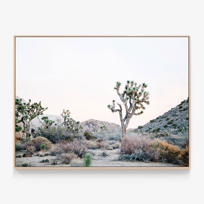 Desert Evening Canvas wall art with oak float frame