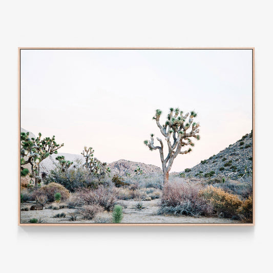 Desert Evening Canvas wall art with oak float frame