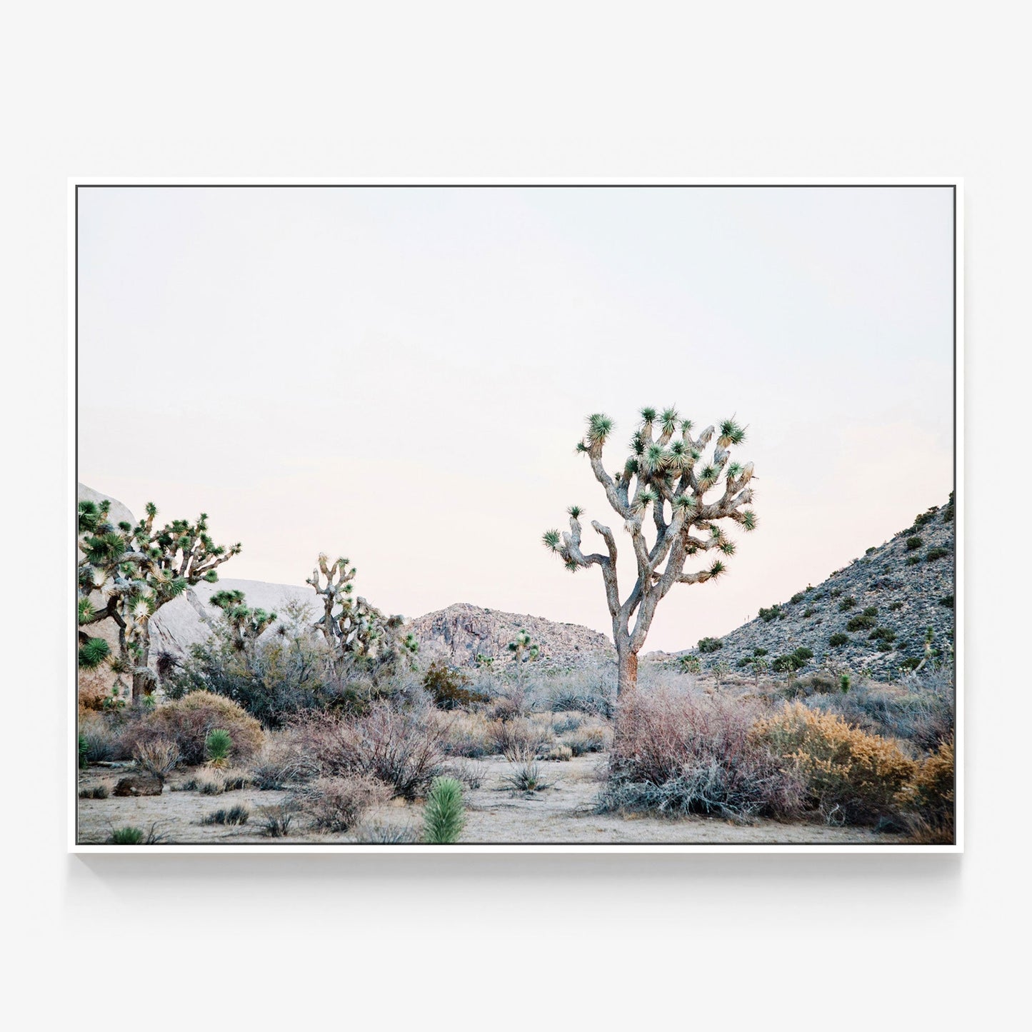 Desert Evening Canvas