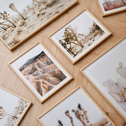 A collection of desert framed prints.