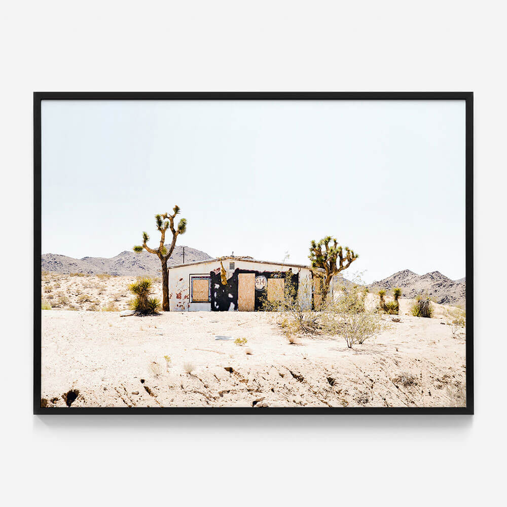 Desert Life