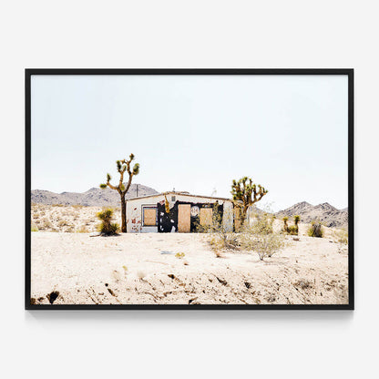 Desert Life