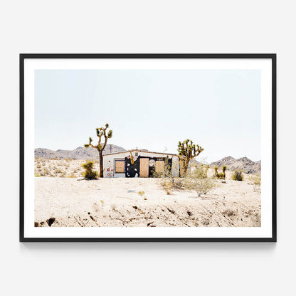 Desert Life
