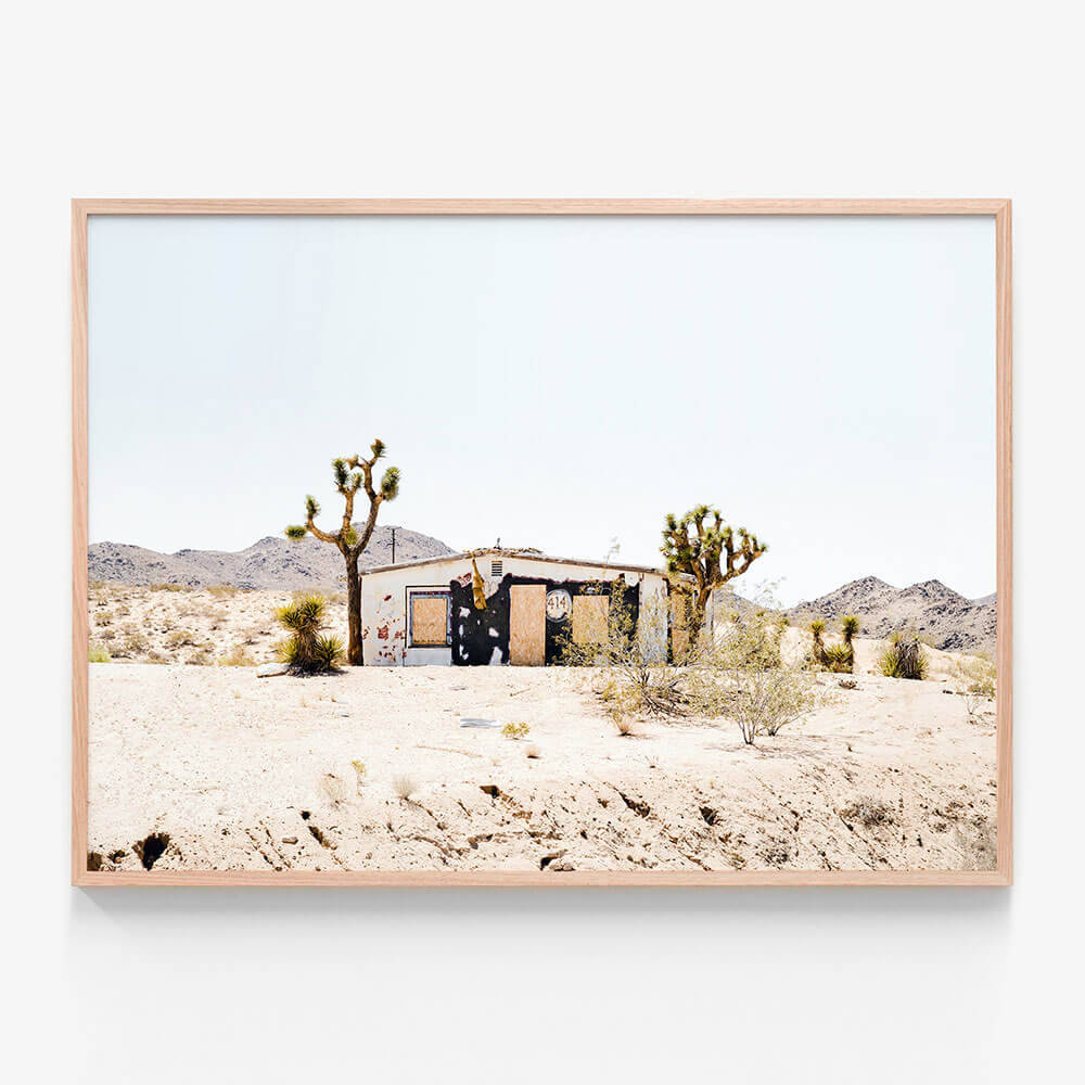 Desert Life