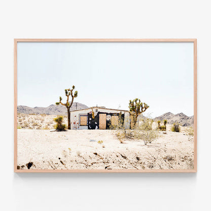 Desert Life
