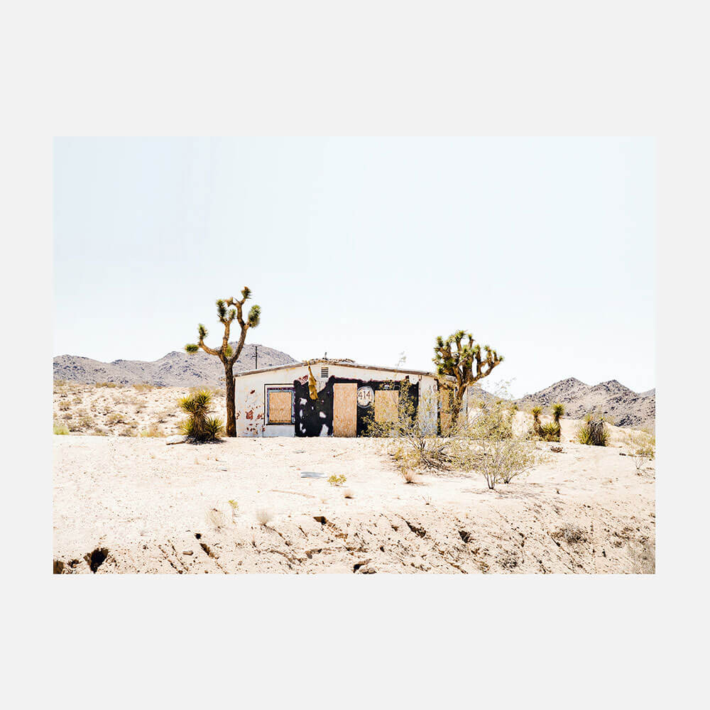 Desert Life