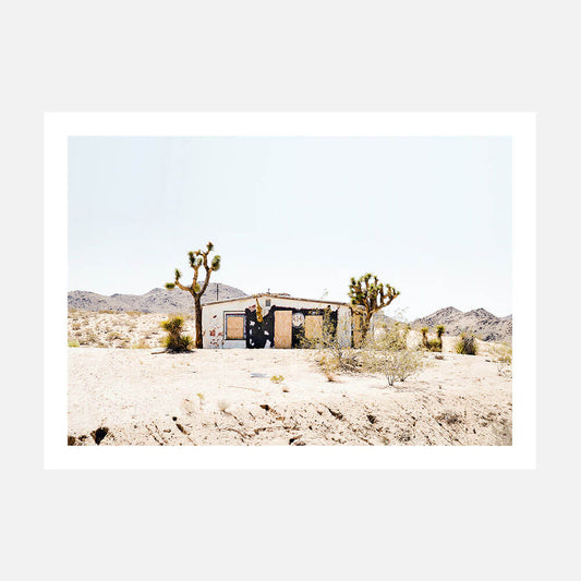 Desert Life