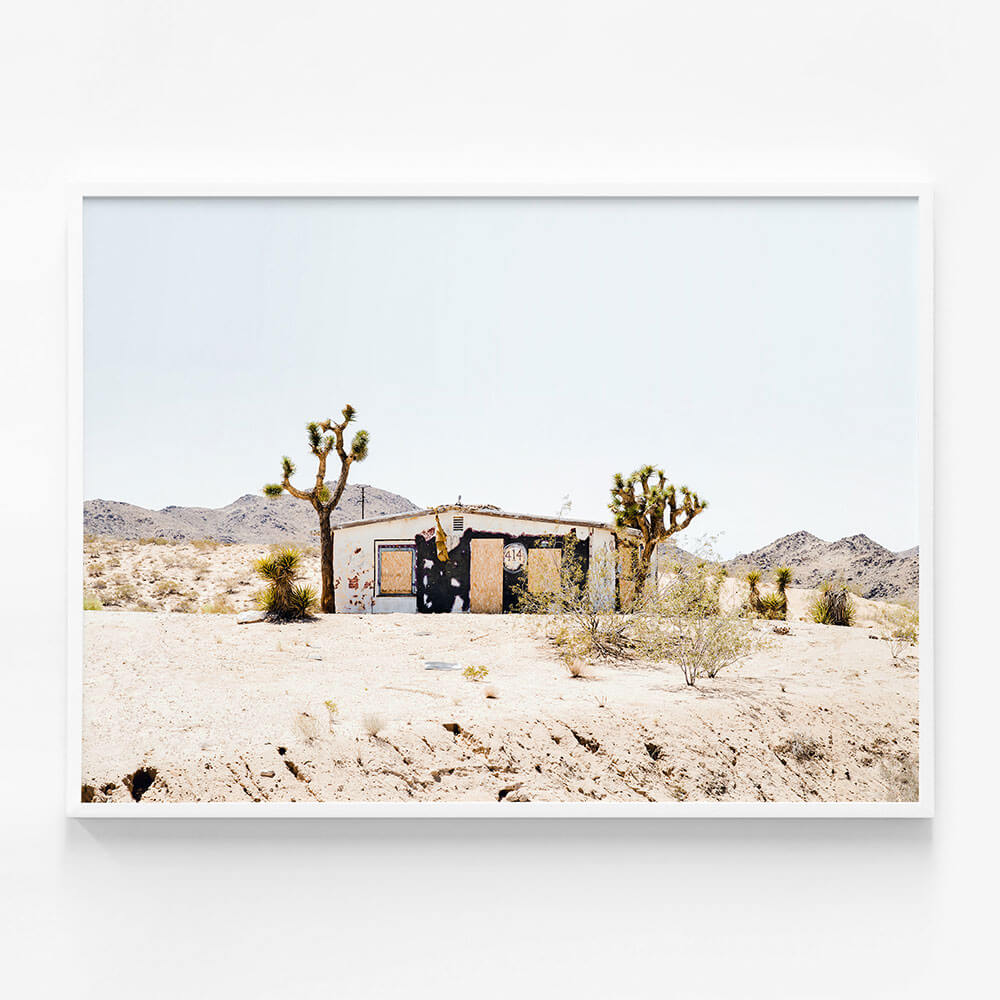 Desert Life