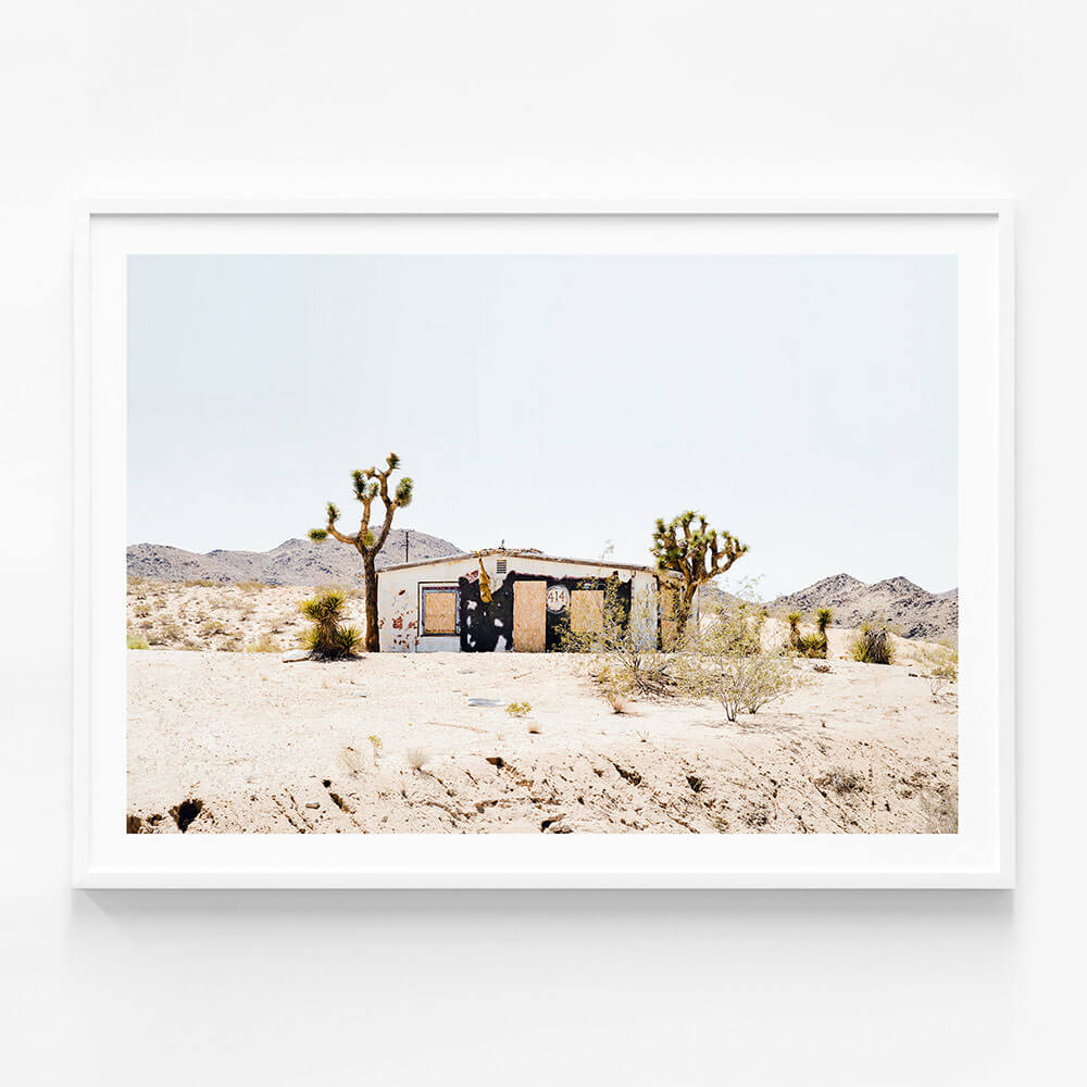 Desert Life