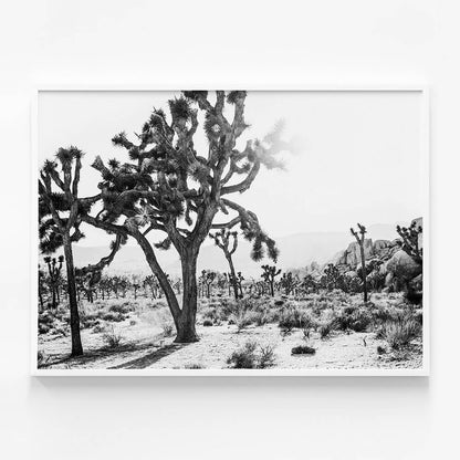 Desert Morning B&W