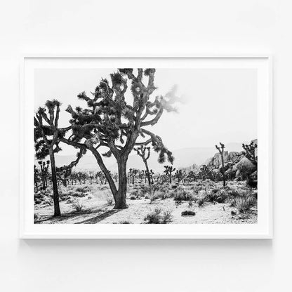 Desert Morning B&W