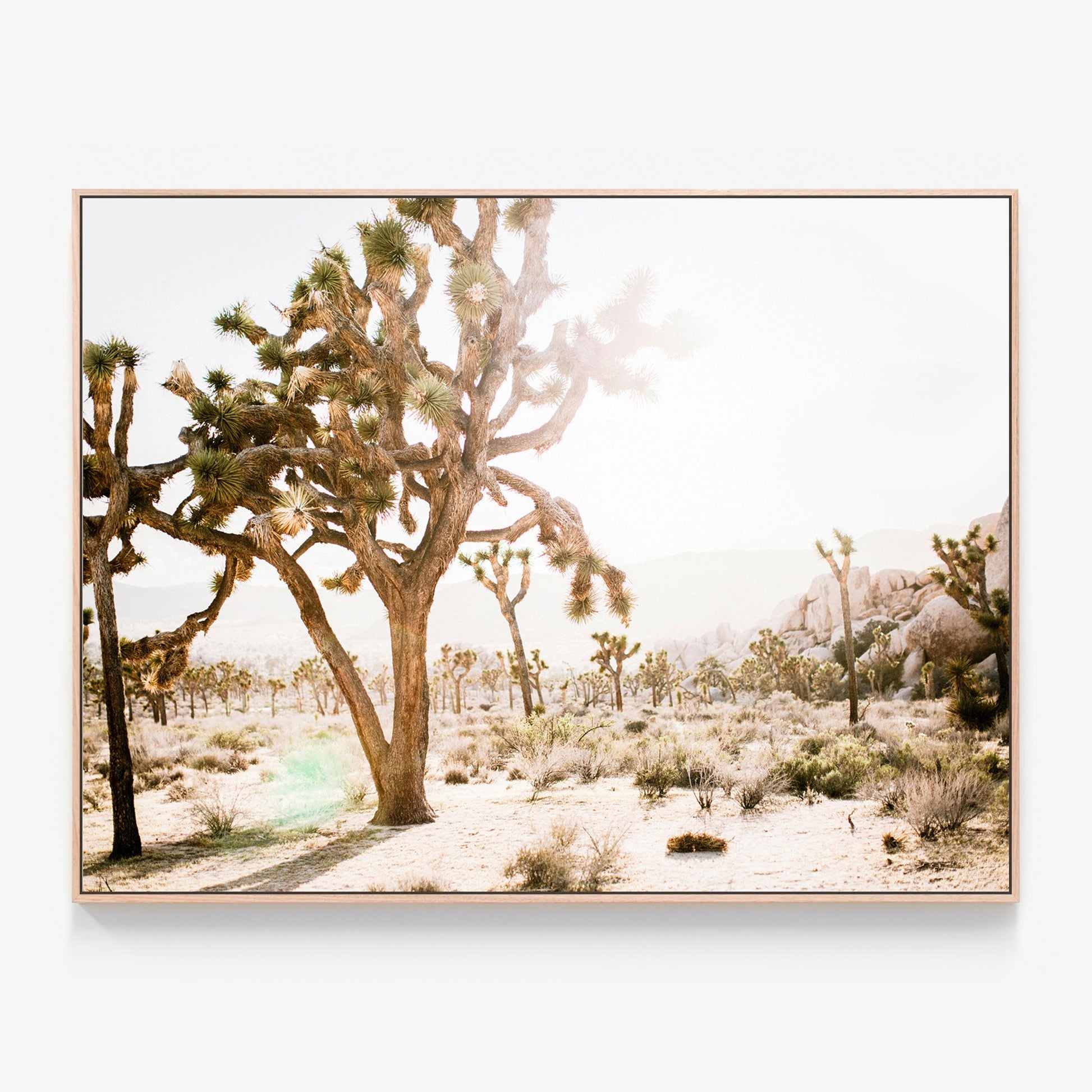Desert Morning Canvas print in oak frame