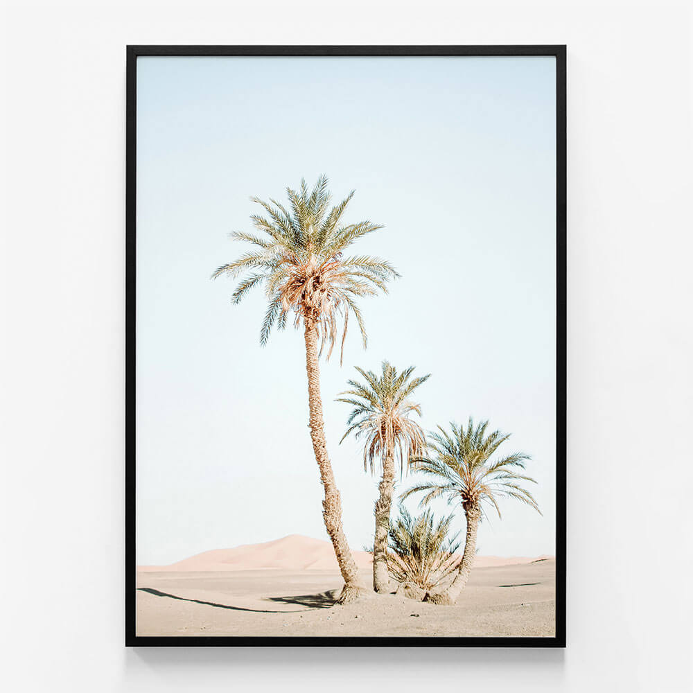 Desert Palms