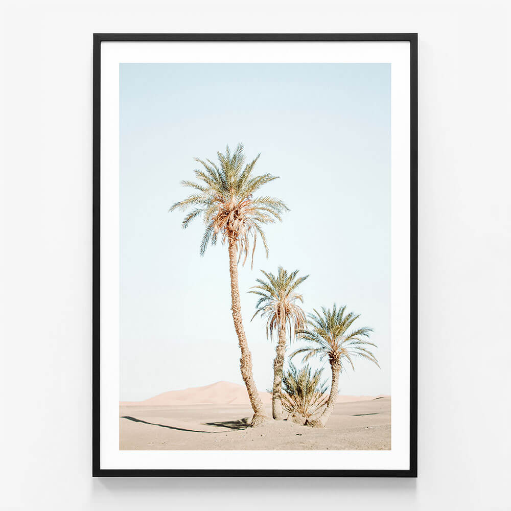 Desert Palms