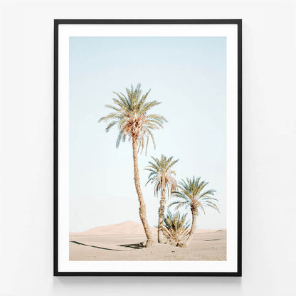 Desert Palms