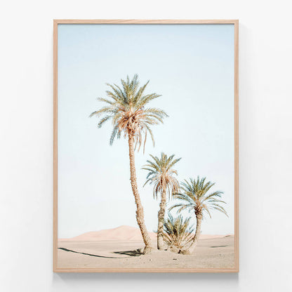 Desert Palms