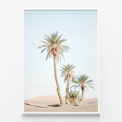 Desert Palms